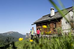 Mountain huts and alpine farms