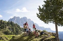 Dolomiti Ranger