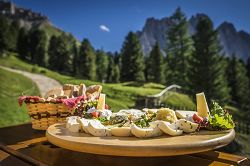 Culinary alpine delights huts