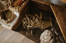 Slow Food Travel