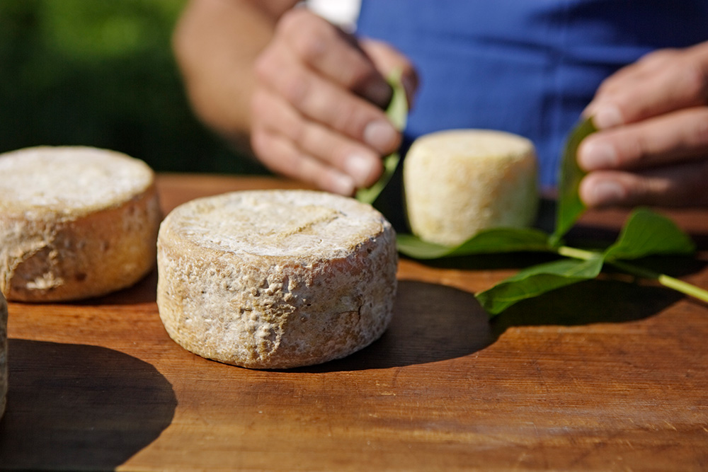 Formaggio di montagna