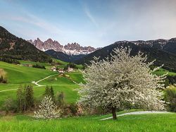 Geisler, Dolomites, Unesco, St. Magdalena, St. Magdalena Church, landscape, spring