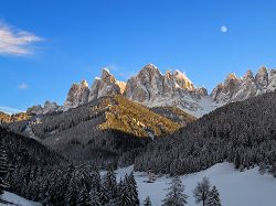 Geisler Winter Ranui