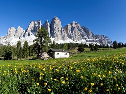 Geisler, Odle, Glatsch, mountain pasture, spring, meadow